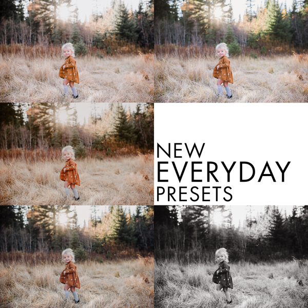 Everyday Preset Collection